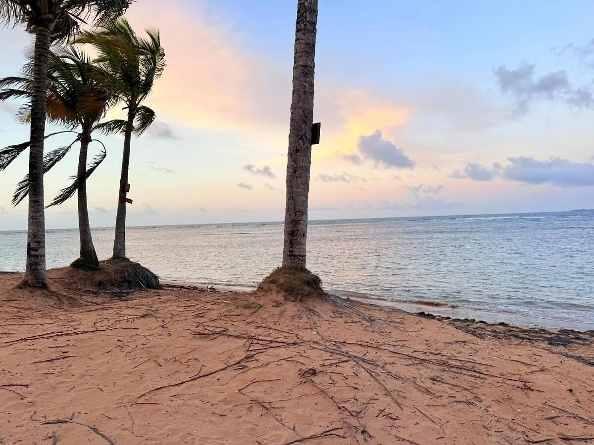 Lägenhet New Casa Delfin Ac Beach Front Luquillo