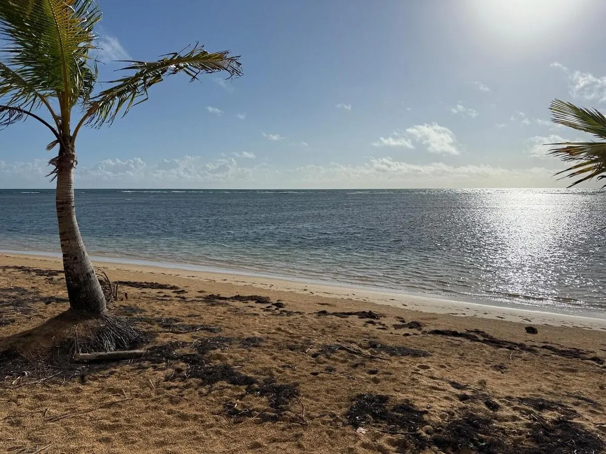 New Casa Delfin Ac Beach Front Luquillo Lägenhet