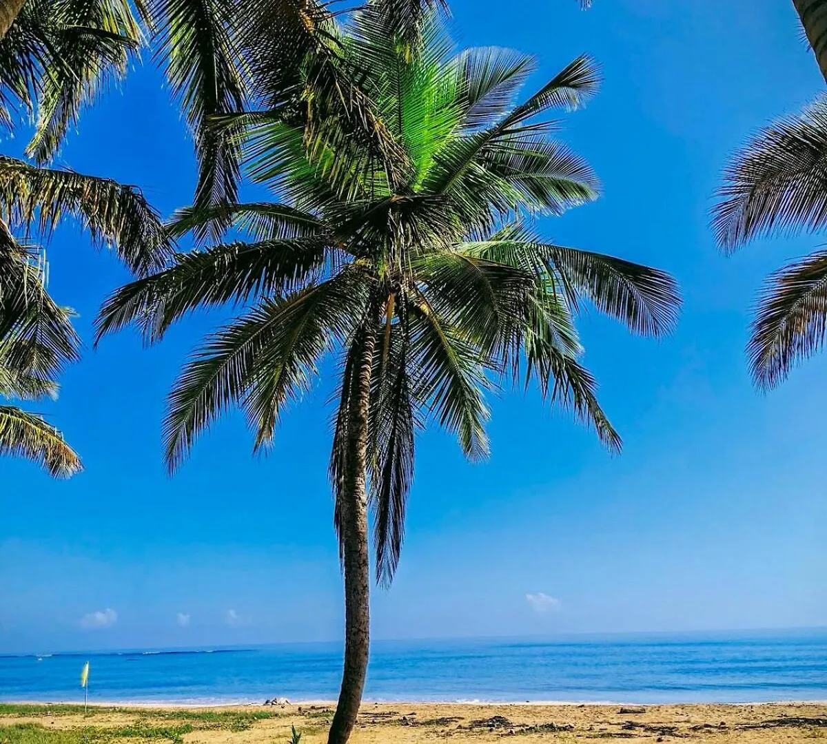 New Casa Delfin Ac Beach Front Luquillo Puerto Rico